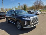 New 2025 Hyundai Palisade Calligraphy image 4