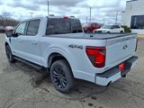 New 2025 Ford F150 XLT image 2