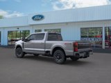 New 2025 Ford F250 Platinum image 4