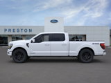 New 2025 Ford F150 Platinum image 4