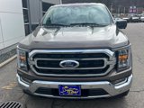 Used 2023 Ford F150 XLT w/ Equipment Group 302A High image 4