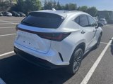 New 2025 Lexus NX 350h AWD w/ Premium Package image 3