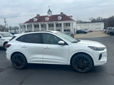 New 2025 Ford Escape ST-Line Elite w/ Premium Technology Package image 5