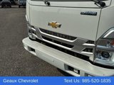 New 2025 Chevrolet Low Cab Forward image 3