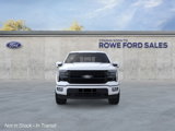 New 2025 Ford F150 Platinum image 2