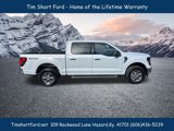 New 2025 Ford F150 XLT w/ Equipment Group 301A Standard image 4