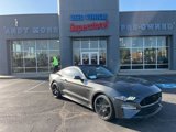Certified 2020 Ford Mustang GT w/ Black Accent Package image 1