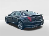 New 2025 Cadillac CT5 Premium Luxury w/ Sun And Sound Package image 2