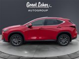 Used 2025 Lexus NX 300h AWD w/ Luxury Package image 2