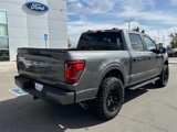 New 2025 Ford F150 STX w/ STX Black Appearance Package image 4