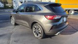 Used 2020 Ford Escape SEL image 5