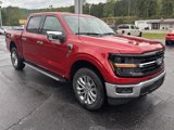 New 2025 Ford F150 XLT image 4