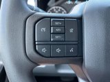 New 2025 Ford F250 XLT w/ Snow Plow/Camper Package image 6