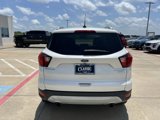 Used 2019 Ford Escape Titanium image 5