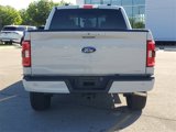 Used 2023 Ford F150 XLT w/ Equipment Group 302A High image 6