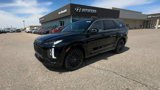 New 2025 Hyundai Palisade Calligraphy image 4