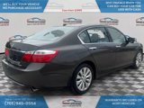 Used 2013 Honda Accord EX-L image 4
