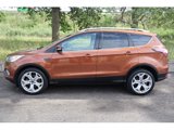 Used 2017 Ford Escape Titanium image 4
