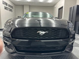 Used 2017 Ford Mustang Coupe image 3