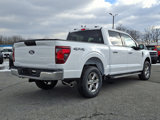New 2025 Ford F150 XLT w/ Equipment Group 301A Standard image 4