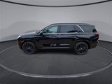 New 2025 Hyundai Palisade Calligraphy image 5