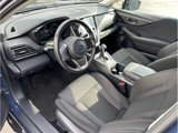 Used 2024 Subaru Outback Premium image 2