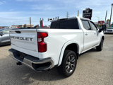 Used 2019 Chevrolet Silverado 1500 LT w/ All-Star Edition image 4