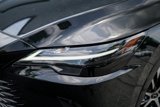 Used 2023 Lexus RX 350 Premium Plus w/ Cold Area Package image 3