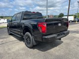 New 2025 Ford F150 XLT w/ Equipment Group 302A MID image 3