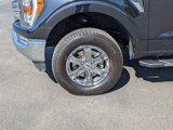 Certified 2023 Ford F150 XLT w/ Equipment Group 302A High image 6