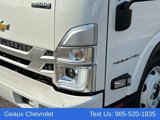 New 2025 Chevrolet Low Cab Forward image 2