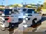 New 2024 Ford Expedition Limited image 6