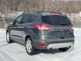 Used 2016 Ford Escape SE w/ SE Leather Comfort Package image 5