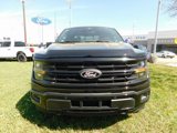 New 2025 Ford F150 XLT w/ Equipment Group 302A MID image 2