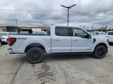 New 2025 Ford F150 XLT w/ Equipment Group 303A High image 3