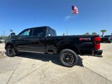New 2025 Ford F250 Platinum image 4