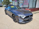 Used 2018 Ford Mustang Premium w/ Equipment Group 201A image 3
