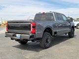 New 2025 Ford F250 4x4 Crew Cab Super Duty image 4