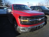 New 2025 Ford F150 XLT image 2