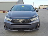 New 2025 Honda Odyssey Elite image 2