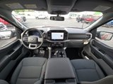 New 2025 Ford F150 XLT w/ Equipment Group 302A MID image 2