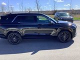New 2025 Hyundai Palisade Calligraphy image 4