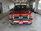 Certified 2023 Ford F150 XLT w/ Equipment Group 302A High image 3