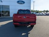 New 2025 Ford F150 XLT image 5