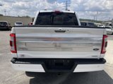 Used 2023 Ford F150 Platinum w/ Equipment Group 701A High image 3
