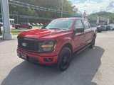 New 2025 Ford F150 STX w/ STX Black Appearance Package image 6