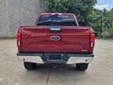 Used 2019 Ford F150 XLT w/ Equipment Group 302A Luxury image 4