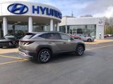 New 2025 Hyundai Tucson Limited image 2