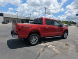 New 2025 Ford F150 XLT w/ Equipment Group 302A MID image 4