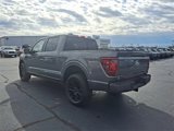 New 2025 Ford F150 Platinum image 5